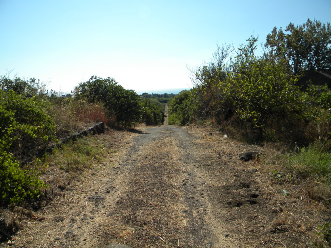 DSCN8206 .JPG
